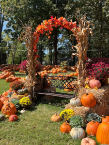 Emmanuel's Pumpkin Patch in Memphis